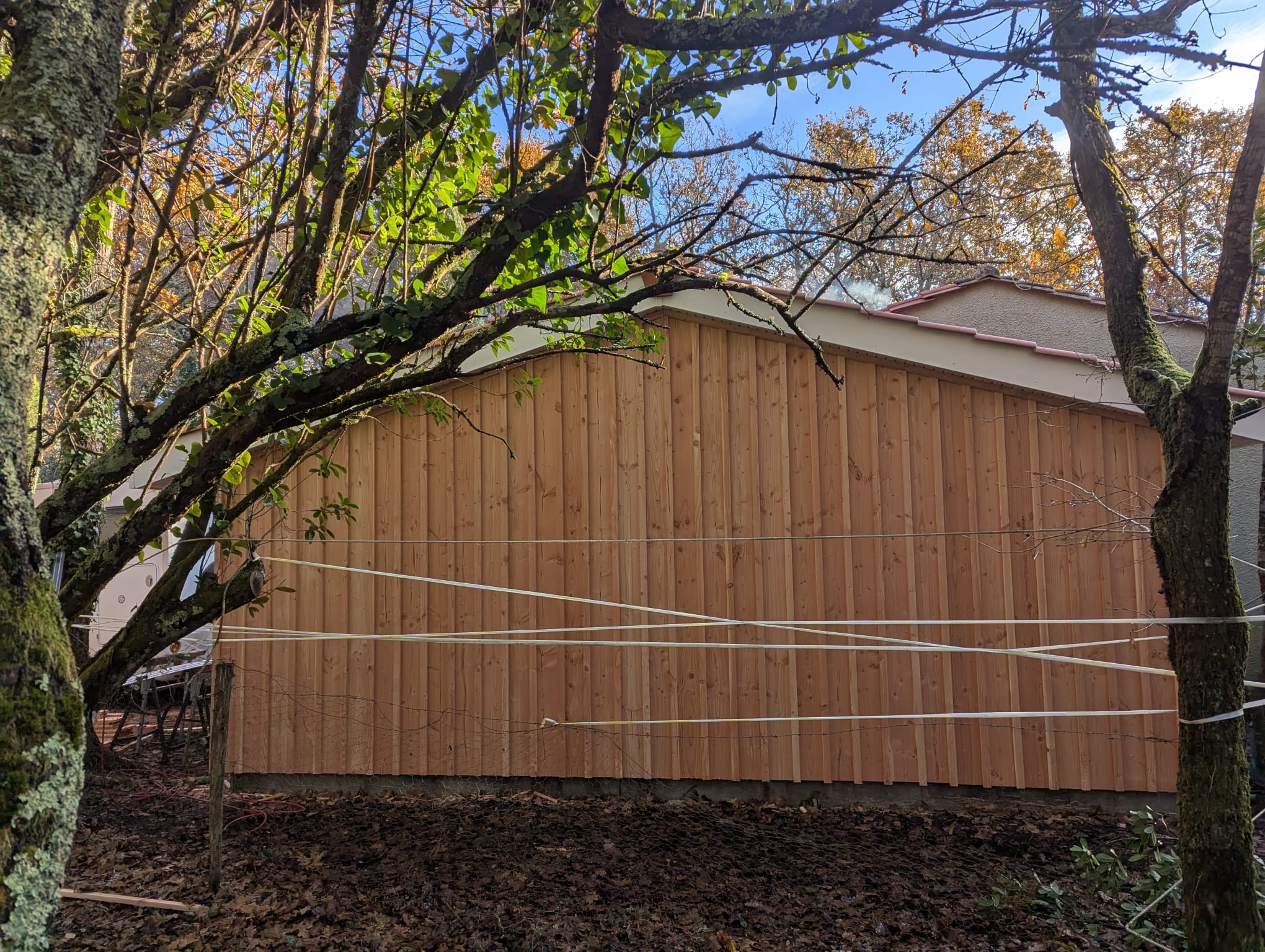 77433f96-303d-415e-ade8-e54ef244f183